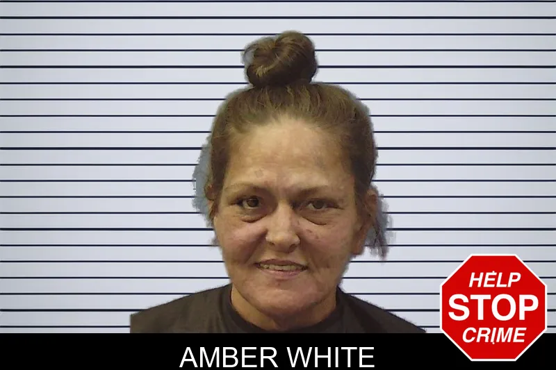 Amber White mugshot