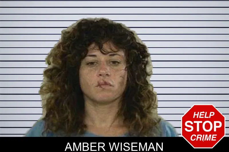 Amber Wiseman mugshot