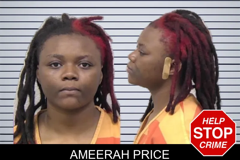 Ameerah Price mugshot