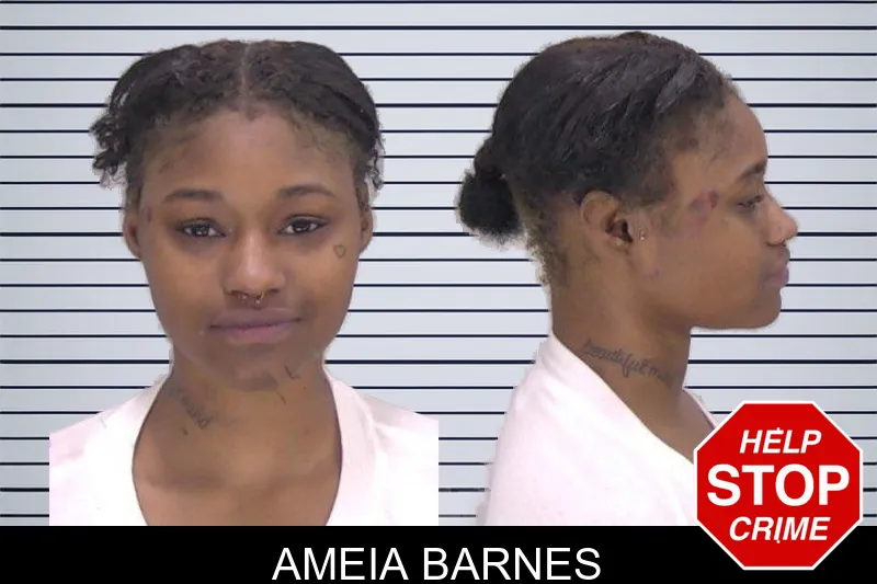 Ameia Barnes mugshot – Richmond County , Georgia Ameia Barnes mugshot