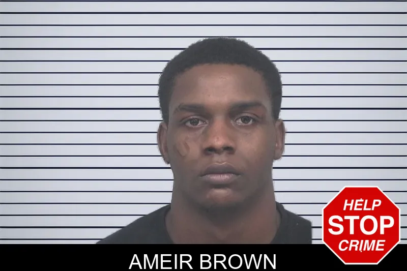 Ameir Brown mugshot
