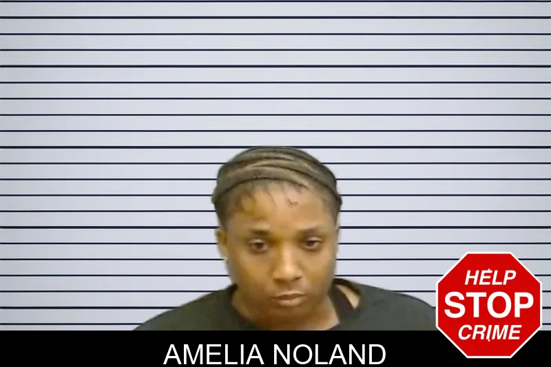 Amelia Noland mugshot – Fulton County , Georgia Amelia Noland mugshot