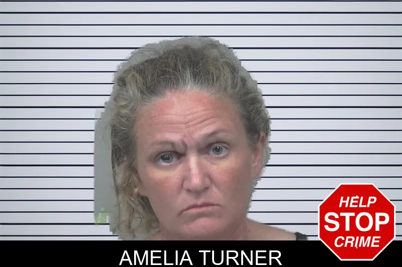 Amelia Turner mugshot