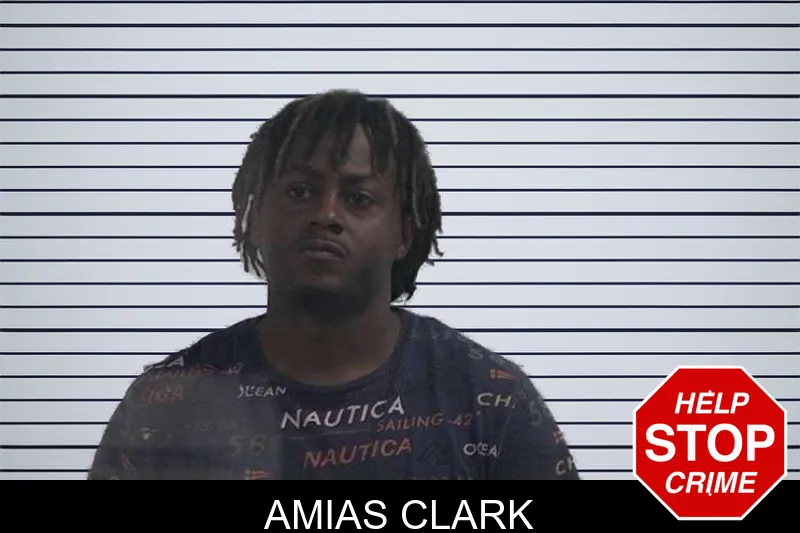 Amias Clark mugshot