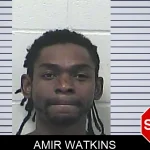 Amir Watkins mugshot – Dawson County , Georgia Amir Watkins mugshot