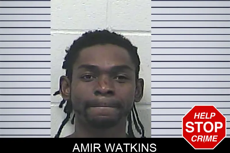 Amir Watkins mugshot