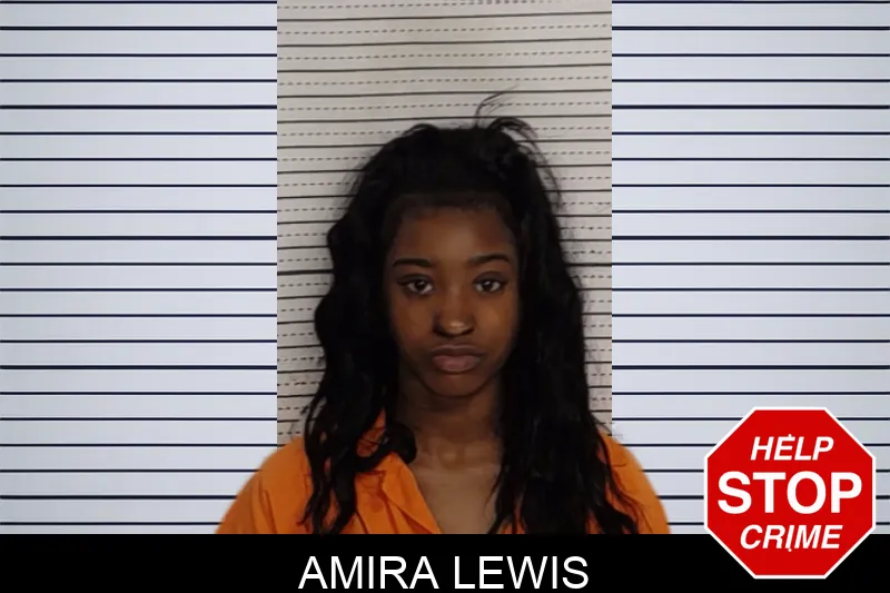 Amira Lewis mugshot