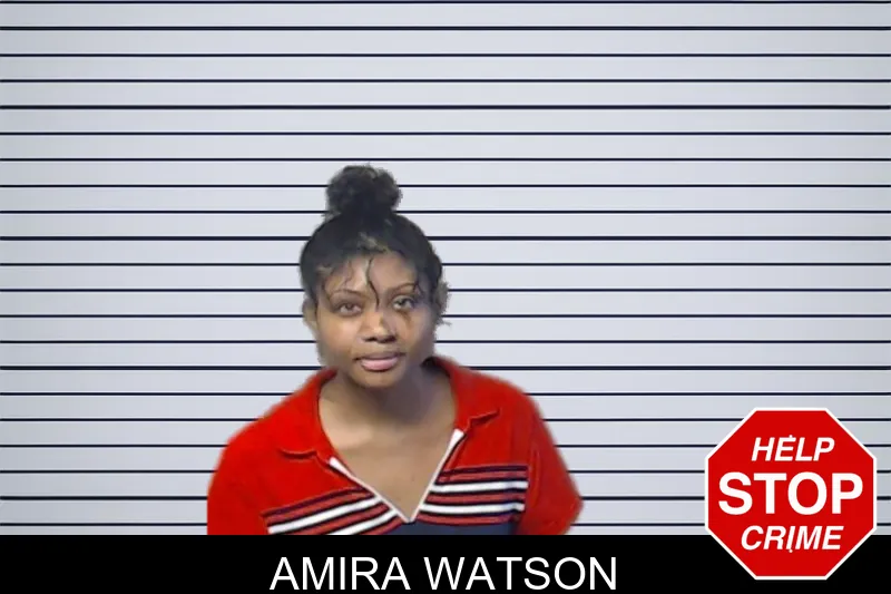Amira Watson mugshot – DeKalb County , Georgia Amira Watson mugshot