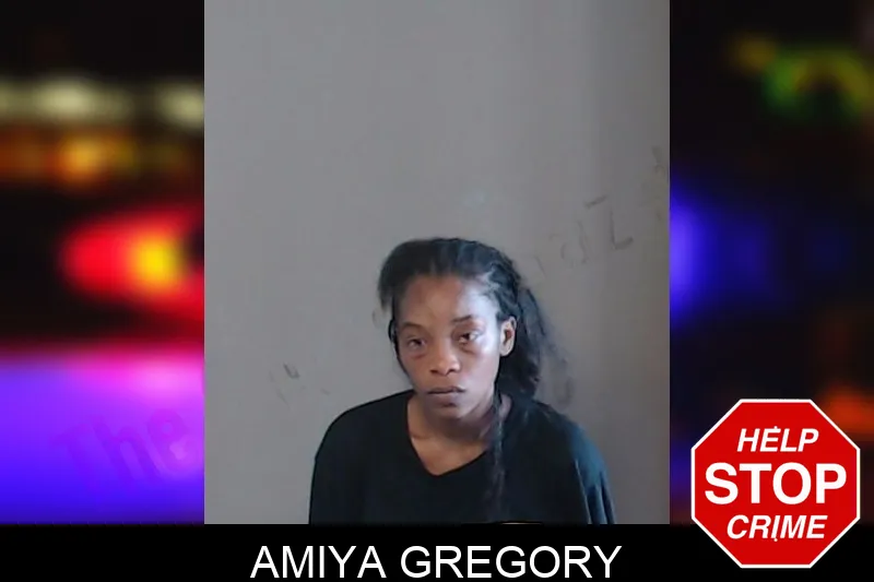 Amiya Gregory mugshot – DeKalb County , Georgia Amiya Gregory mugshot