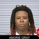Amorie Gray mugshot