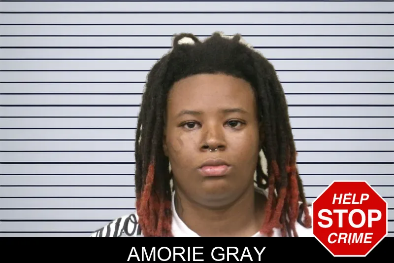 Amorie Gray mugshot – Bulloch County , Georgia Amorie Gray mugshot