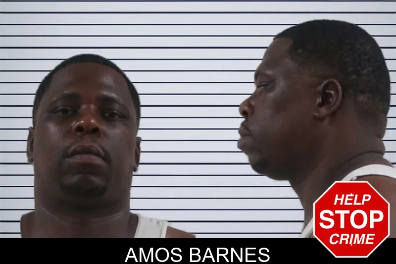 Amos Barnes mugshot – Houston County , Georgia Amos Barnes mugshot