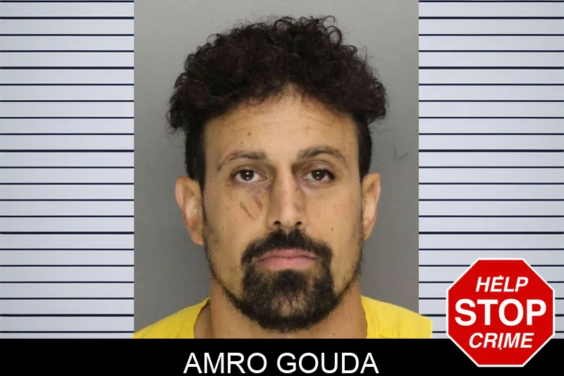 Amro Gouda mugshot