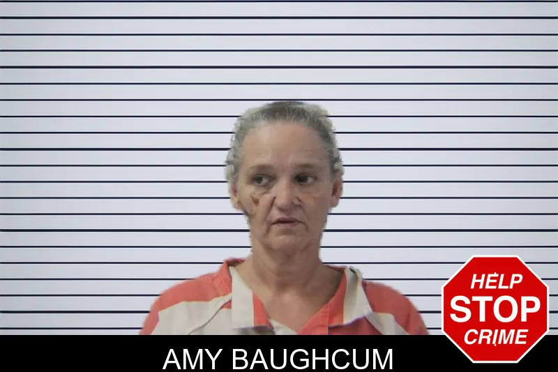 Amy Baughcum mugshot