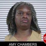 Amy Chambers mugshot