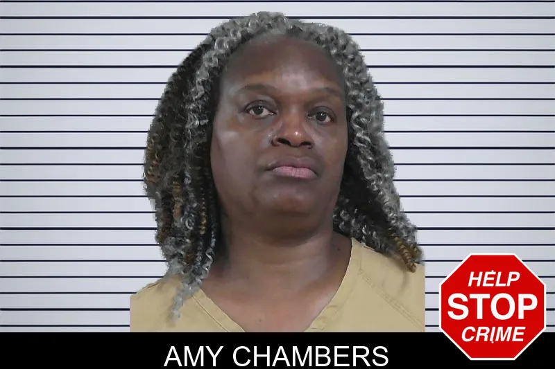 Amy Chambers mugshot