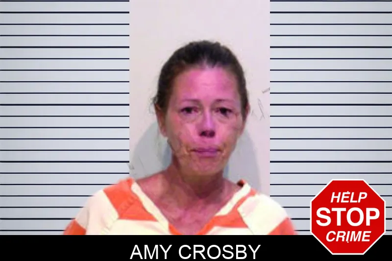 Amy Crosby mugshot – Bartow County , Georgia Amy Crosby mugshot