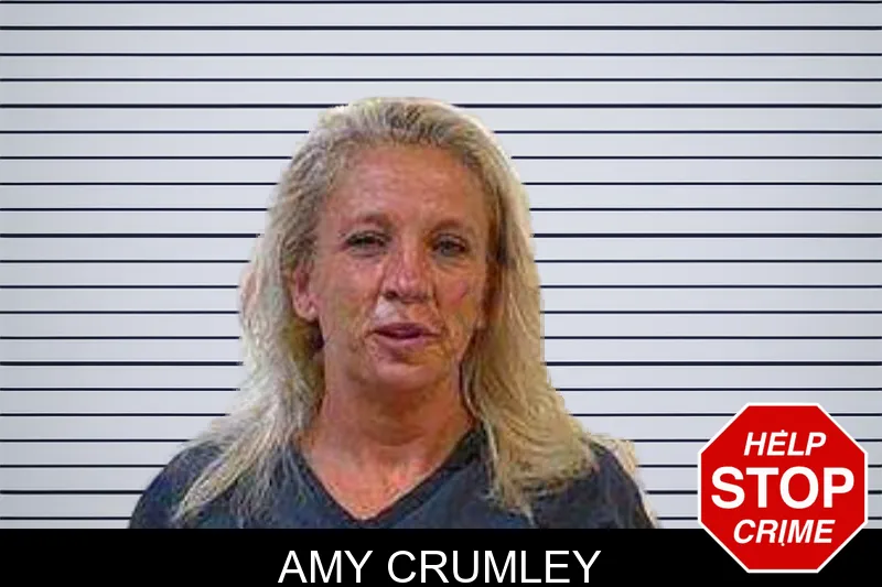 Amy Crumley mugshot – Polk County , Georgia Amy Crumley mugshot