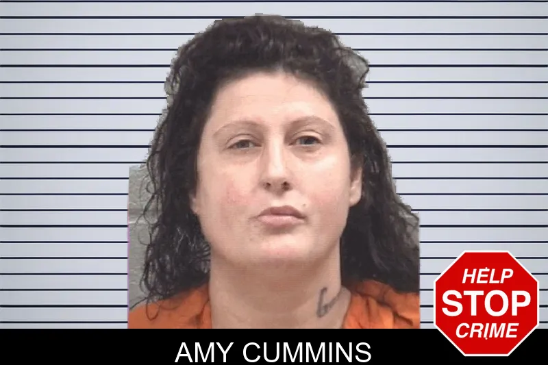Amy Cummins mugshot