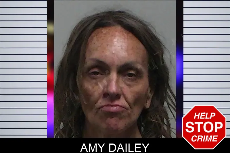 Amy Dailey mugshot