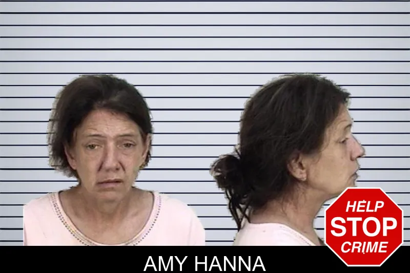 Amy Hanna mugshot