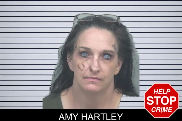 Amy Hartley