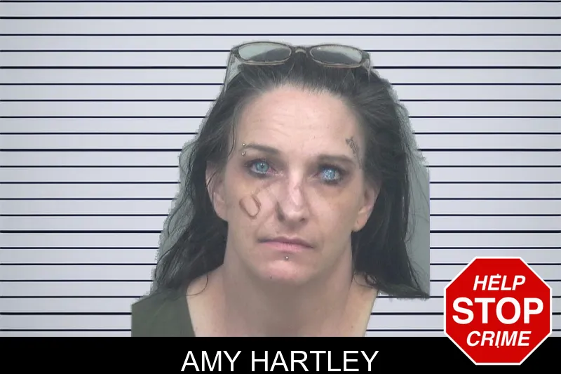 Amy Hartley mugshot