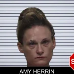 Amy Herrin mugshot