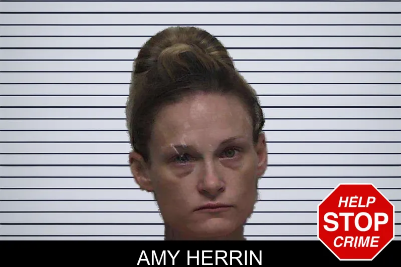 Amy Herrin mugshot