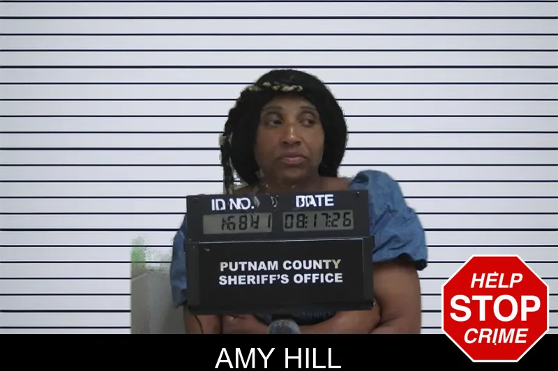 Amy Hill mugshot