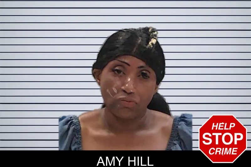 Amy Hill mugshot