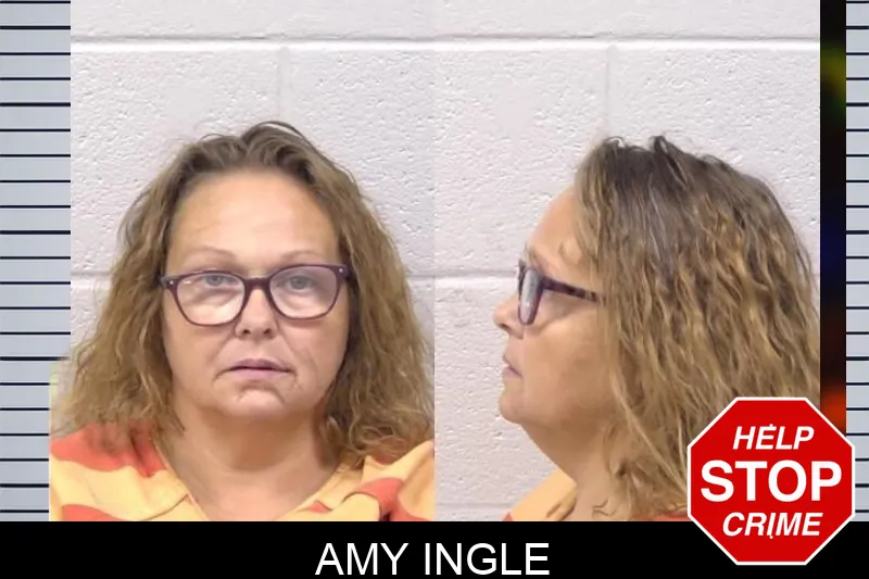 Amy Ingle mugshot – Paulding County , Georgia Amy Ingle mugshot