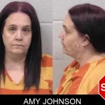 Amy Johnson mugshot – Paulding County , Georgia Amy Johnson mugshot