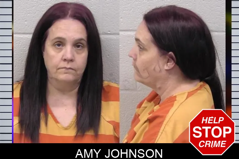 Amy Johnson mugshot – Paulding County , Georgia Amy Johnson mugshot