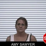 Amy Sawyer mugshot