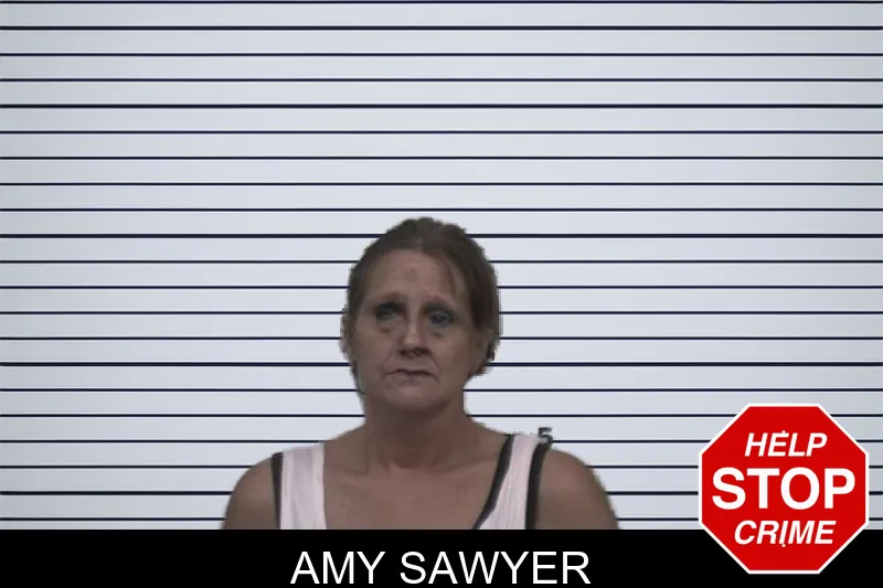Amy Sawyer mugshot – Sumter County , Georgia Amy Sawyer mugshot