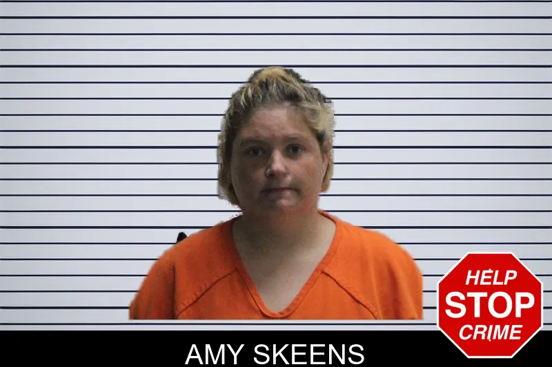 Amy Skeens mugshot