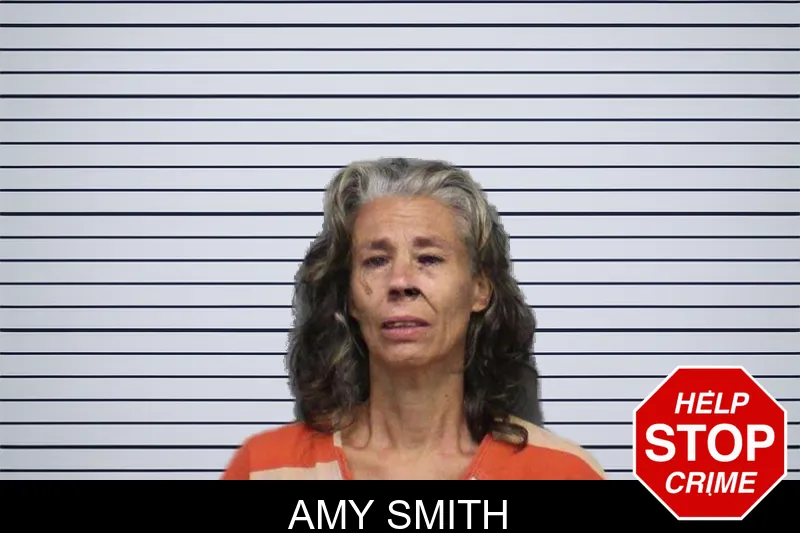 Amy Smith mugshot – White County , Georgia Amy Smith mugshot