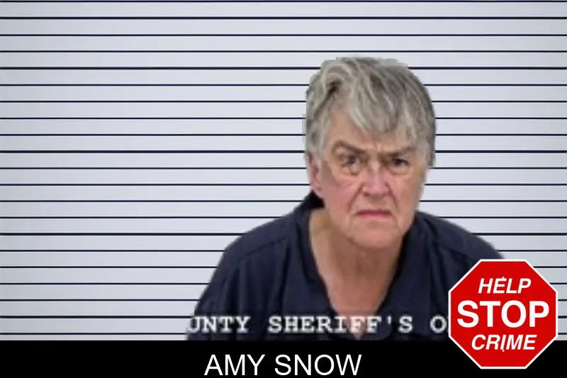 Amy Snow mugshot – Walton County , Georgia Amy Snow mugshot