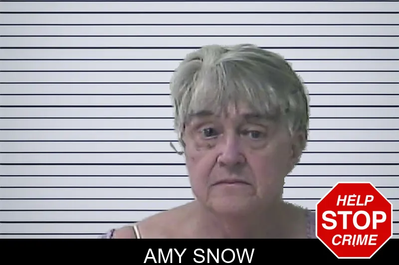 Amy Snow mugshot