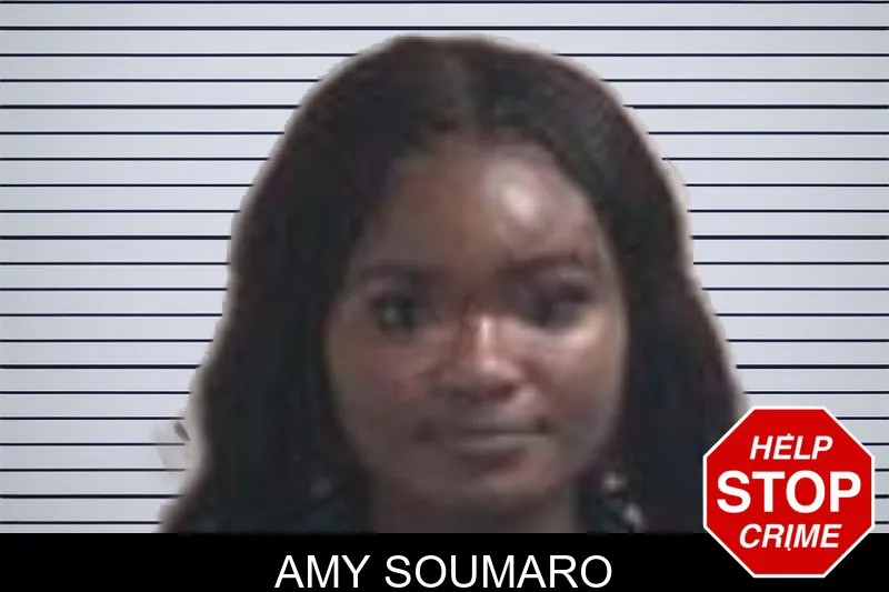 Amy Soumaro mugshot – Henry County , Georgia Amy Soumaro mugshot