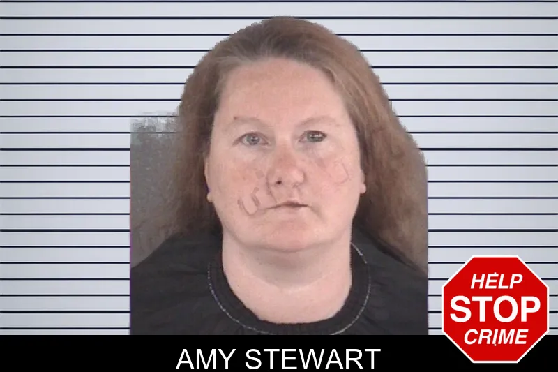 Amy Stewart mugshot