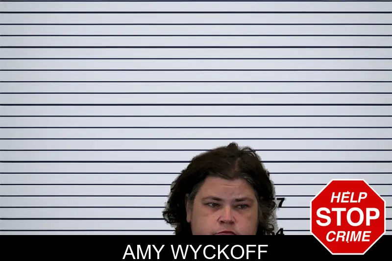 Amy Wyckoff mugshot – Hart County , Georgia Amy Wyckoff mugshot