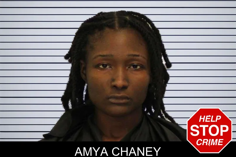 Amya Chaney mugshot – Carroll County , Georgia Amya Chaney mugshot