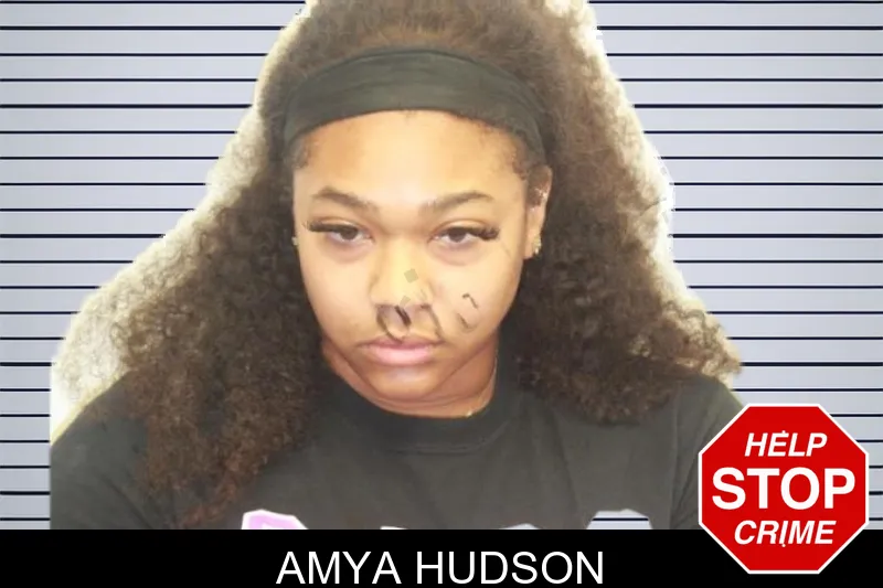 Amya Hudson mugshot – Chatham County , Georgia Amya Hudson mugshot