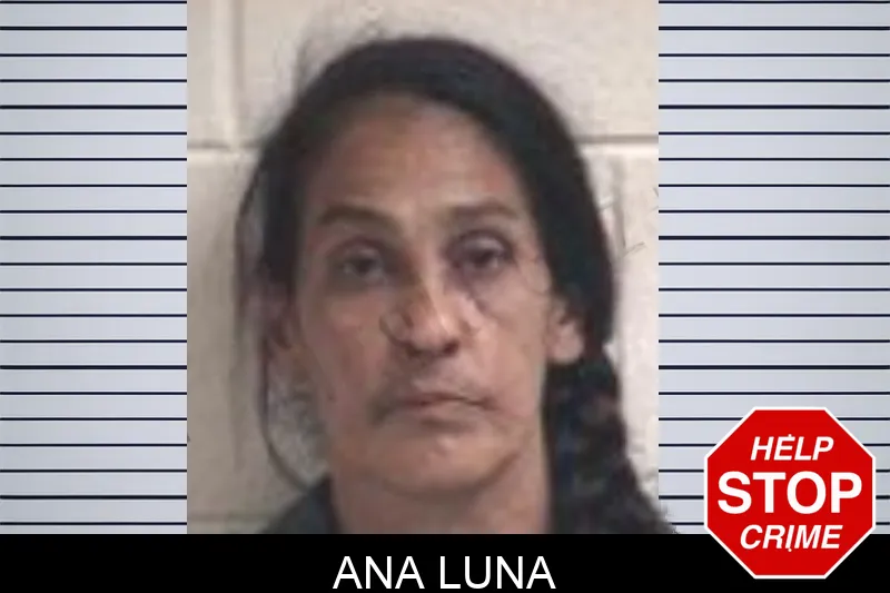 Ana Luna mugshot – Henry County , Georgia Ana Luna mugshot