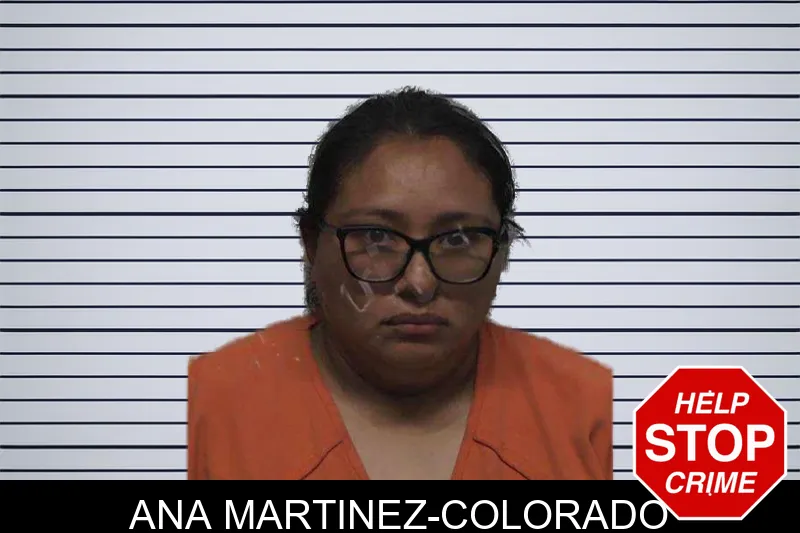 Ana Martinez-Colorado mugshot