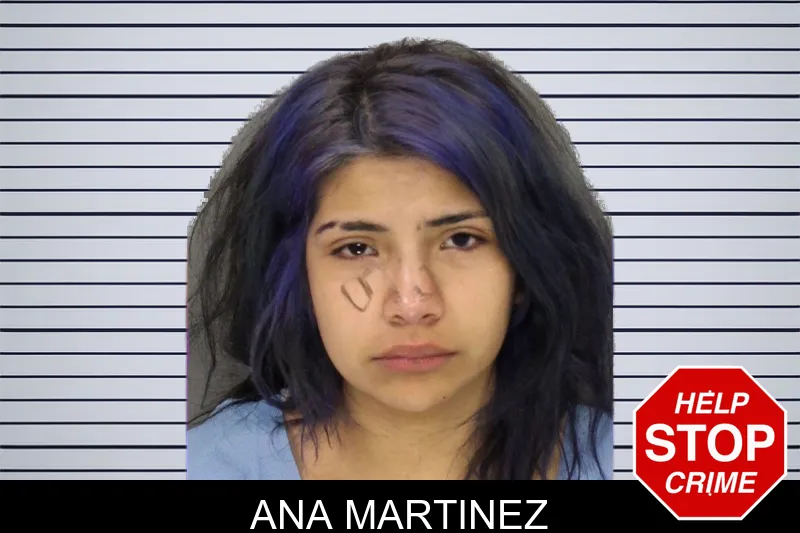 Ana Martinez mugshot