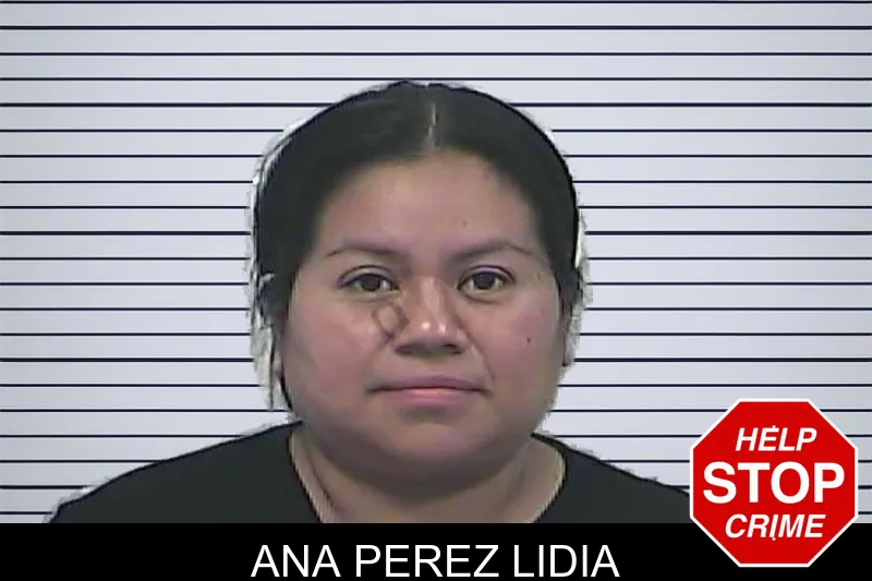 Ana Perez Lidia mugshot