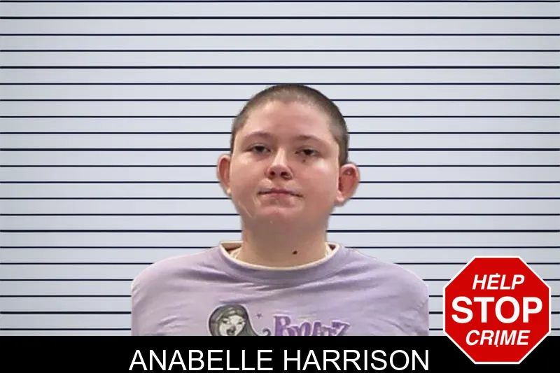 Anabelle Harrison mugshot – Baldwin County , Georgia Anabelle Harrison mugshot